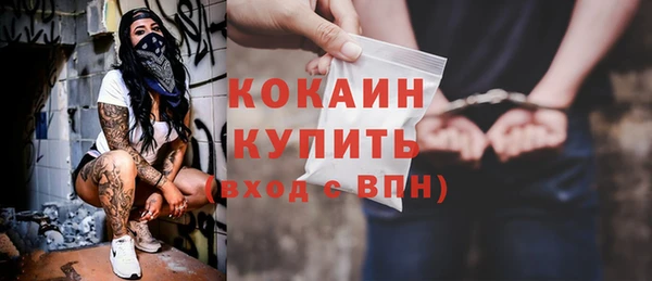 гашик Богданович