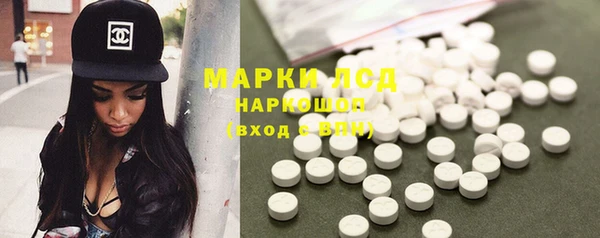 гашик Богданович