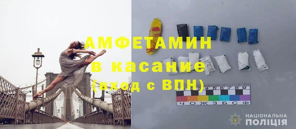 сатива Беломорск