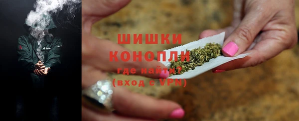 гашик Богданович