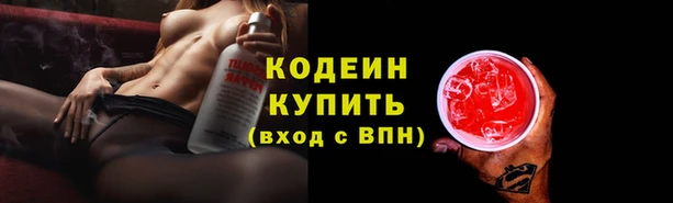 гашик Богданович
