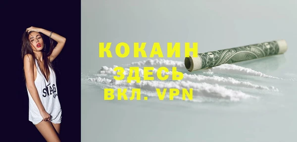 гашик Богданович