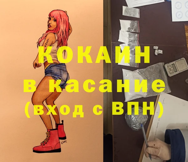 гашик Богданович
