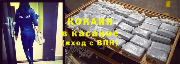 сатива Беломорск