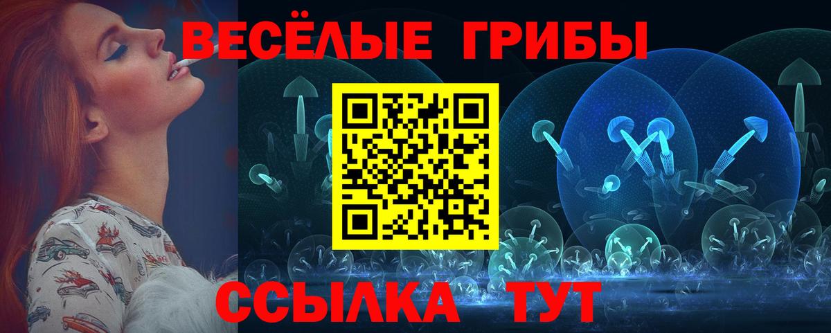 Гусев  Галлюциногенные грибы ЛСД  Вход с VPN  Псилоцибиновые грибы прущие грибы 