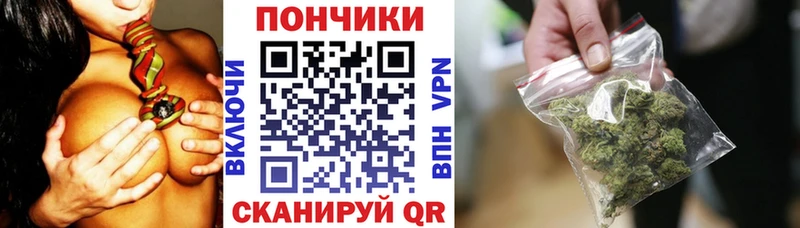 Бошки марихуана конопля наркотики Гусев